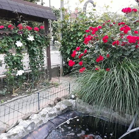 Apartment Zorec 马里博尔 外观 照片